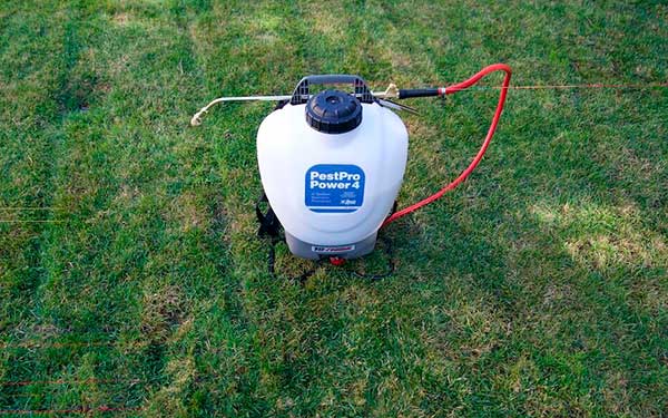 Pest Control Updates in Nairobi