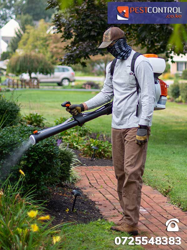 Choose the best pest control service in Nairobi Kenya