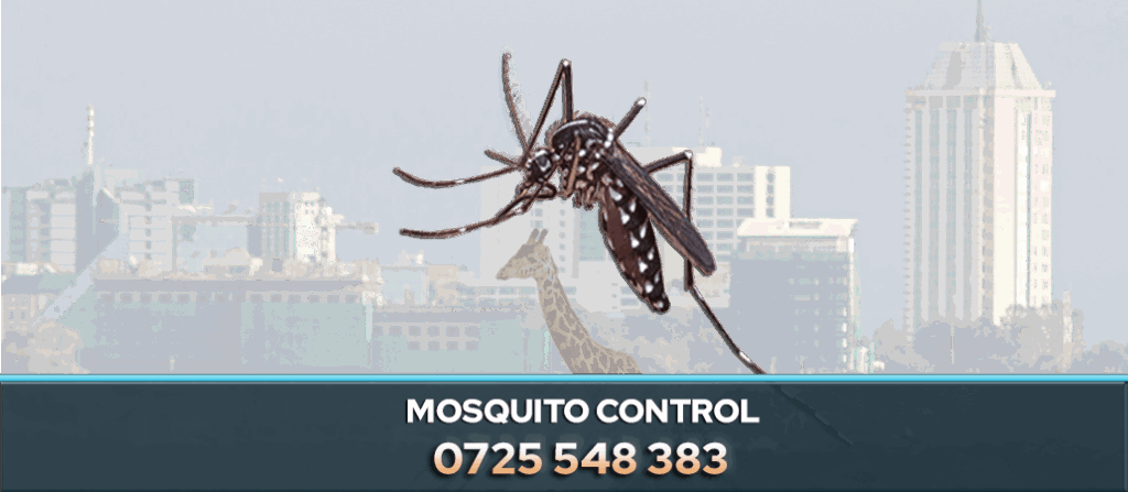 mosquito control nairobi kenya pest control company