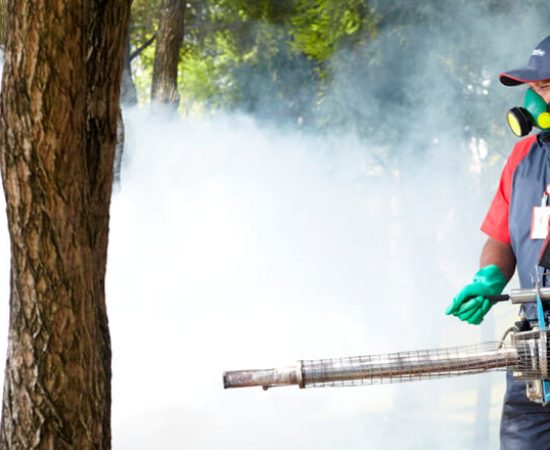 main_mosquito-how-to-get-rid-of-mosquitoes